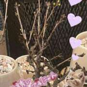 ヒメ日記 2026/03/12 06:13 投稿 三井 池袋角海老