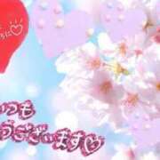 ヒメ日記 2026/03/15 06:13 投稿 三井 池袋角海老