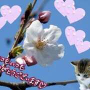 ヒメ日記 2026/03/19 06:03 投稿 三井 池袋角海老