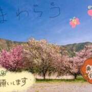 ヒメ日記 2026/03/22 06:03 投稿 三井 池袋角海老