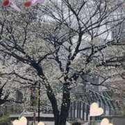 ヒメ日記 2026/03/26 06:13 投稿 三井 池袋角海老