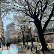 ヒメ日記 2026/03/30 06:13 投稿 三井 池袋角海老