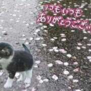 ヒメ日記 2026/04/02 11:13 投稿 三井 池袋角海老