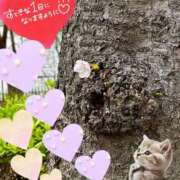 ヒメ日記 2026/04/05 06:03 投稿 三井 池袋角海老