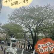 三井 長持ちする？ 池袋角海老