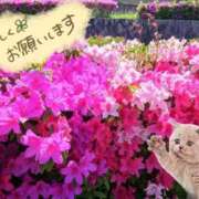 三井 優しいのに🫢 池袋角海老