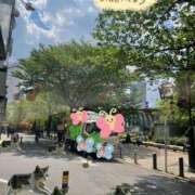 三井 世界一宇宙一 池袋角海老