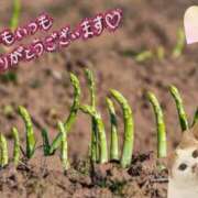ヒメ日記 2026/04/23 06:13 投稿 三井 池袋角海老