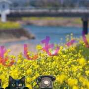 ヒメ日記 2026/04/30 06:13 投稿 三井 池袋角海老