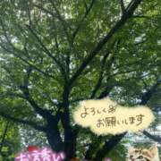 ヒメ日記 2026/05/17 06:13 投稿 三井 池袋角海老