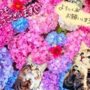 三井 先っちょだけ入っている 池袋角海老