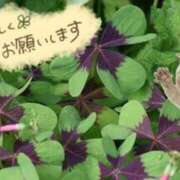 三井 下向いて寝ちゃう 池袋角海老