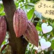 三井 虫の日 池袋角海老