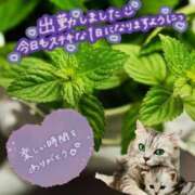 三井 スッキリします 池袋角海老