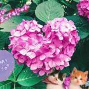 三井 楽しみ？不安？緊迫感？ 池袋角海老