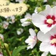 ヒメ日記 2026/08/19 19:03 投稿 三井 池袋角海老