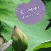 三井 深く刺さり過ぎてとれません 池袋角海老