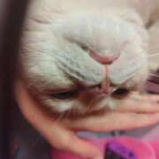 ヒメ日記 2025/06/13 15:23 投稿 かおり 池袋角海老