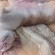 ヒメ日記 2025/08/04 08:53 投稿 かおり 池袋角海老