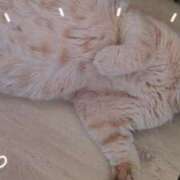 ヒメ日記 2025/08/20 08:33 投稿 かおり 池袋角海老