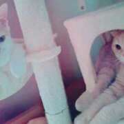 ヒメ日記 2025/09/05 08:43 投稿 かおり 池袋角海老