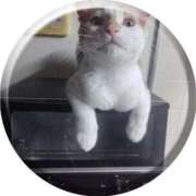 ヒメ日記 2025/09/10 09:43 投稿 かおり 池袋角海老