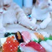 ヒメ日記 2025/09/17 09:03 投稿 かおり 池袋角海老