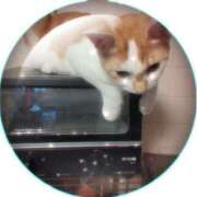 ヒメ日記 2025/10/11 16:13 投稿 かおり 池袋角海老