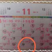 ヒメ日記 2025/11/12 12:43 投稿 かおり 池袋角海老