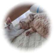 ヒメ日記 2025/11/26 13:03 投稿 かおり 池袋角海老