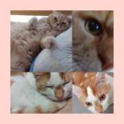 かおり 驚くほど！久しぶりの更新になってしまった！😭😱 池袋角海老