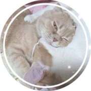 かおり 🗻🎿⛄こんにちは。明日から出勤します😊。 池袋角海老