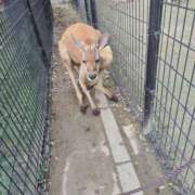 ヒメ日記 2026/03/04 16:23 投稿 かおり 池袋角海老