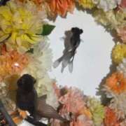 かおり 今月(4月)から急ですが、出勤日、かなり💦変わります🧐❗❗ 池袋角海老