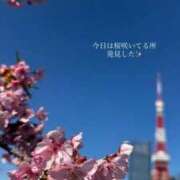 ヒメ日記 2026/03/19 12:51 投稿 あい 池袋角海老