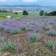 ヒメ日記 2025/06/14 08:33 投稿 由奈（ゆな） 池袋角海老