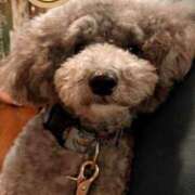 ヒメ日記 2025/06/21 10:39 投稿 由奈（ゆな） 池袋角海老