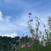 ヒメ日記 2025/09/20 11:15 投稿 由奈（ゆな） 池袋角海老