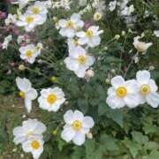 ヒメ日記 2025/10/11 09:43 投稿 由奈（ゆな） 池袋角海老