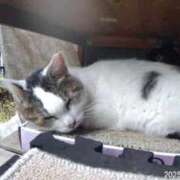 由奈（ゆな） 土曜日のお礼 池袋角海老