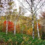 由奈（ゆな） 土曜日のお礼 池袋角海老