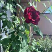 由奈（ゆな） 秋ですね 池袋角海老