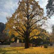 由奈（ゆな） 寒波 池袋角海老