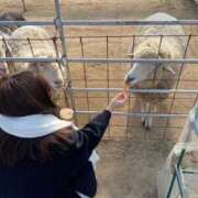 由奈（ゆな） 出勤について 池袋角海老