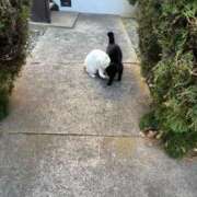 ヒメ日記 2026/03/06 13:23 投稿 由奈（ゆな） 池袋角海老