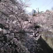 由奈（ゆな） 咲いた 池袋角海老