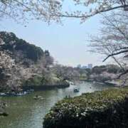 由奈（ゆな） 桜🌸 池袋角海老