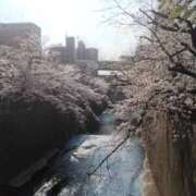 由奈（ゆな） 菜種梅雨 池袋角海老