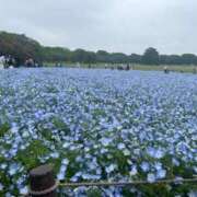 ヒメ日記 2026/05/06 09:22 投稿 由奈（ゆな） 池袋角海老