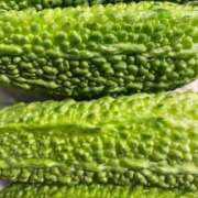 ヒメ日記 2025/08/22 12:53 投稿 蓮（れん） 池袋角海老